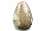 Colorful Free-Standing Polished Jasper #254820-1